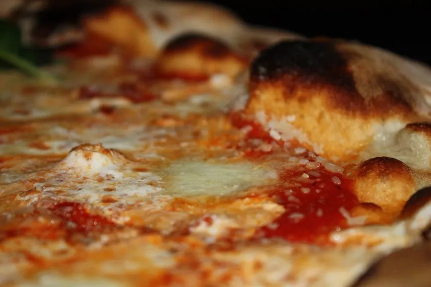 Top-rated yard maintenance for outdoor upgrades across Pompano Beach, FL - Nu Turf of Pompano Beach