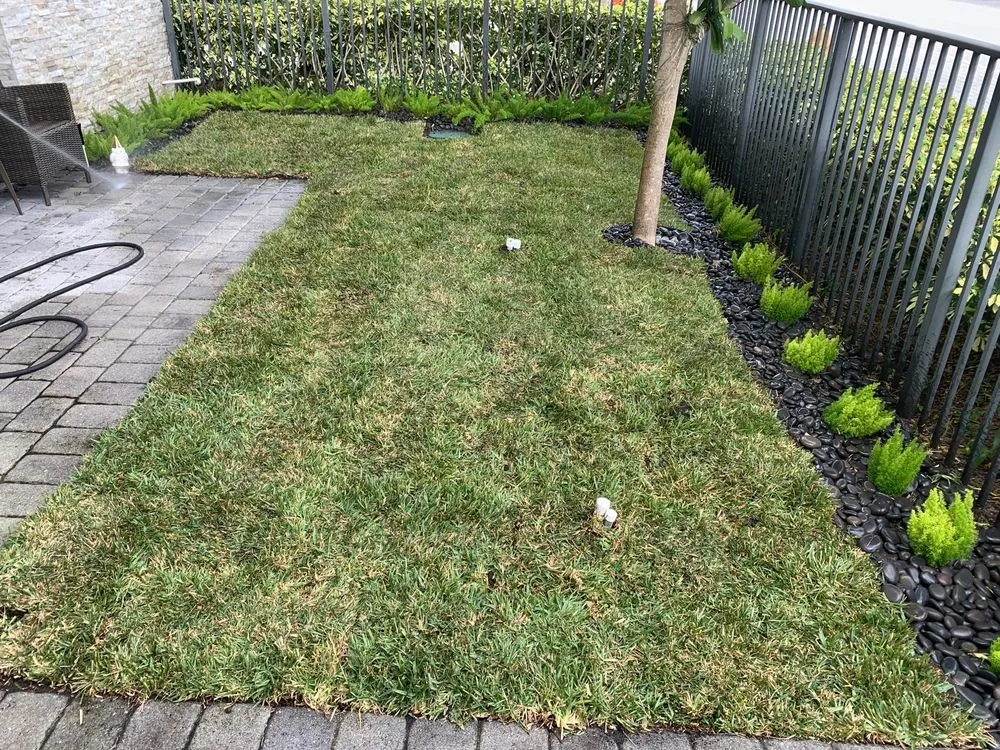 Professional outdoor landscaping for year-round maintenance across Oakland Park, FL - Nu Turf Sod & Garden