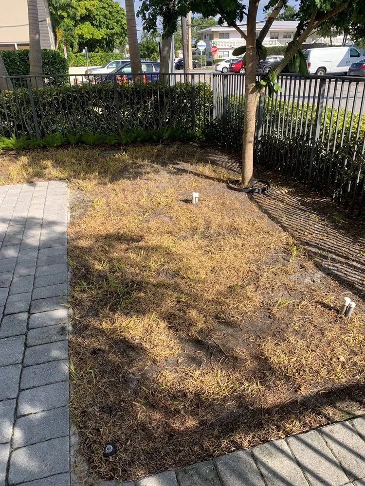 Trusted landscape design experts serving Oakland Park, FL - Nu Turf Sod & Garden