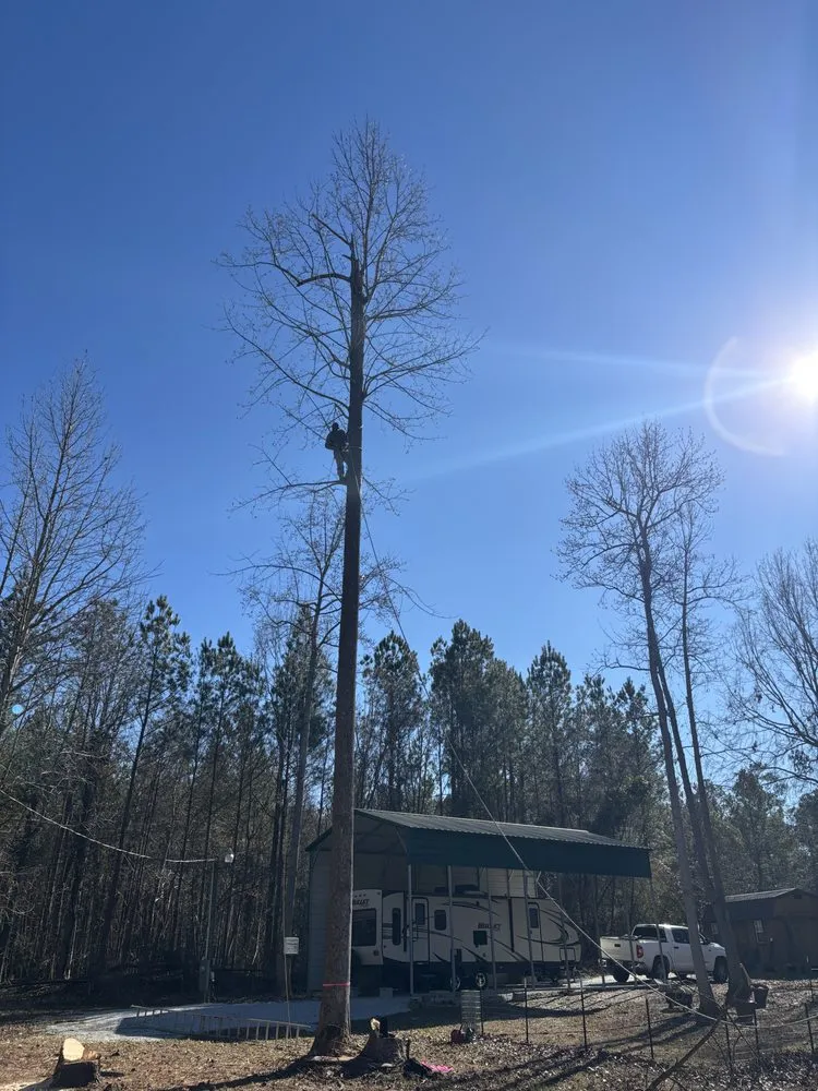 Local lawn care service for homes across Ninety Six, SC - NU world landscape