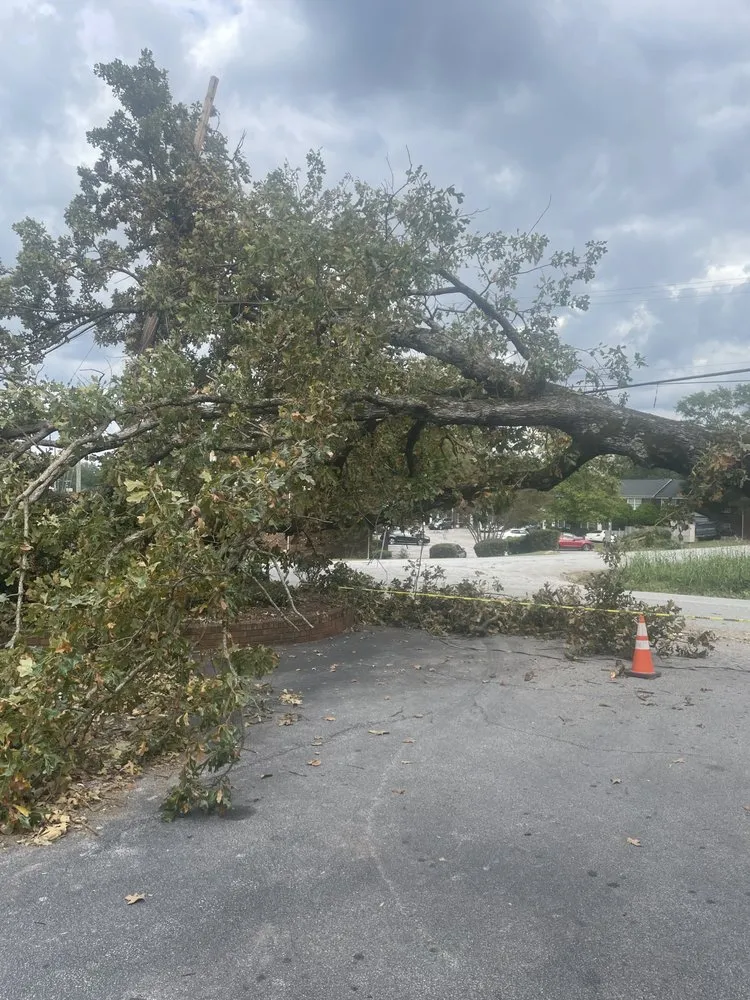 Reliable yard cleanup service for beautiful yards across Ninety Six, SC - NU world landscape