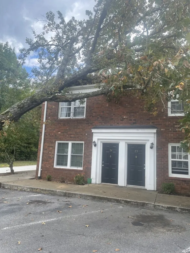 Professional lawn care service with custom design in Ninety Six, SC by NU world landscape