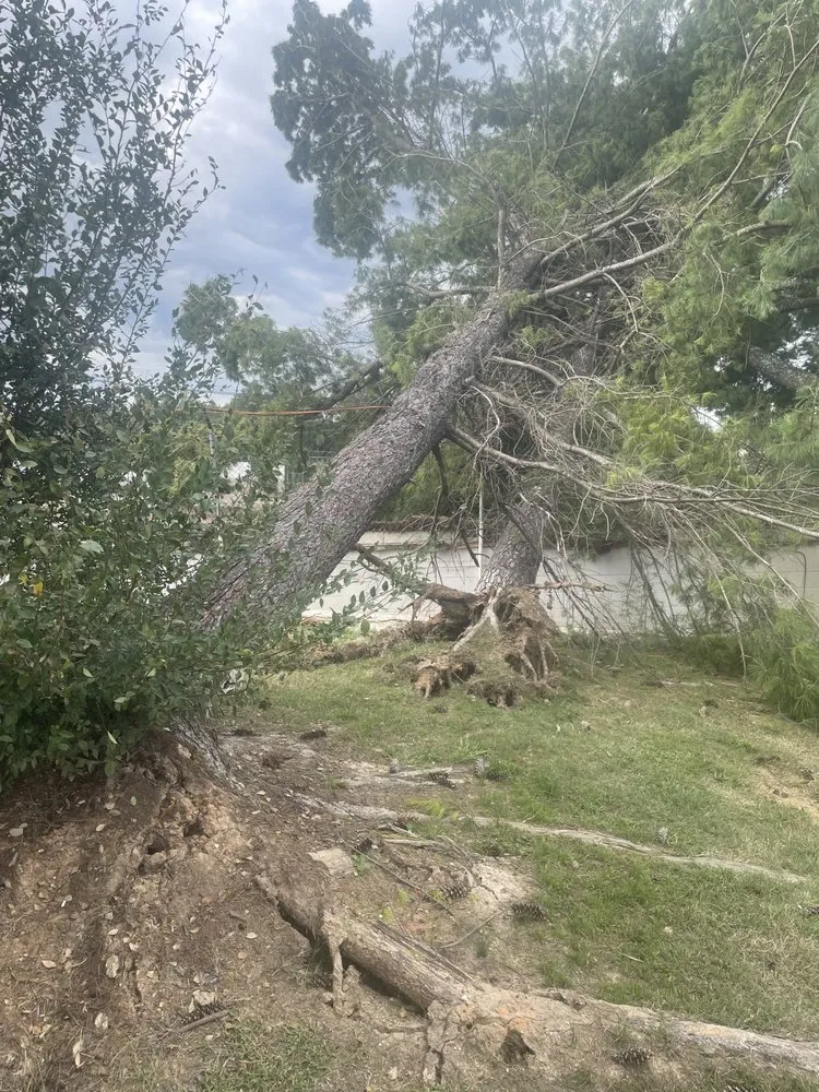 Custom landscape design for homes in Ninety Six, SC by NU world landscape