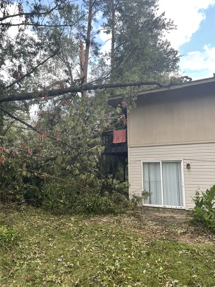 Top-rated garden landscaping for year-round maintenance across Ninety Six, SC - NU world landscape