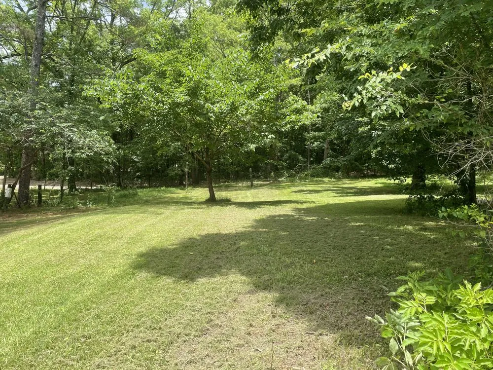 Expert yard maintenance for outdoor upgrades across Paris, MS - Nubs Lawn Care Service