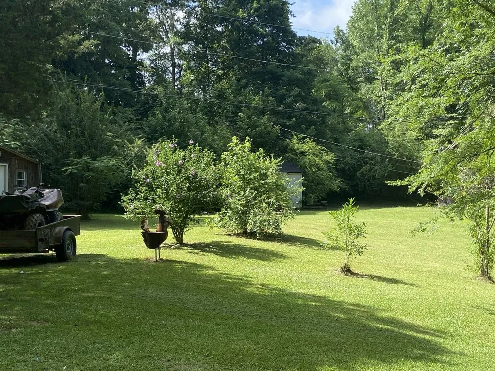Custom yard cleanup service in Paris, MS - Nubs Lawn Care Service