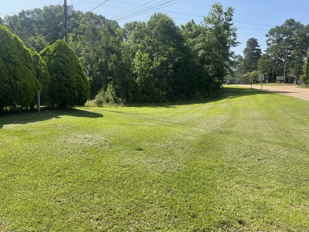 Trusted outdoor landscaping experts serving Paris, MS - Nubs Lawn Care Service
