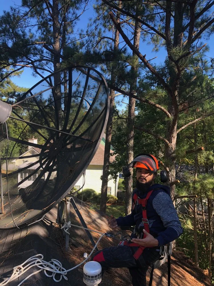 Reliable landscape installation experts serving Powder Springs, GA - Nuby's All-In-One Home Improvement