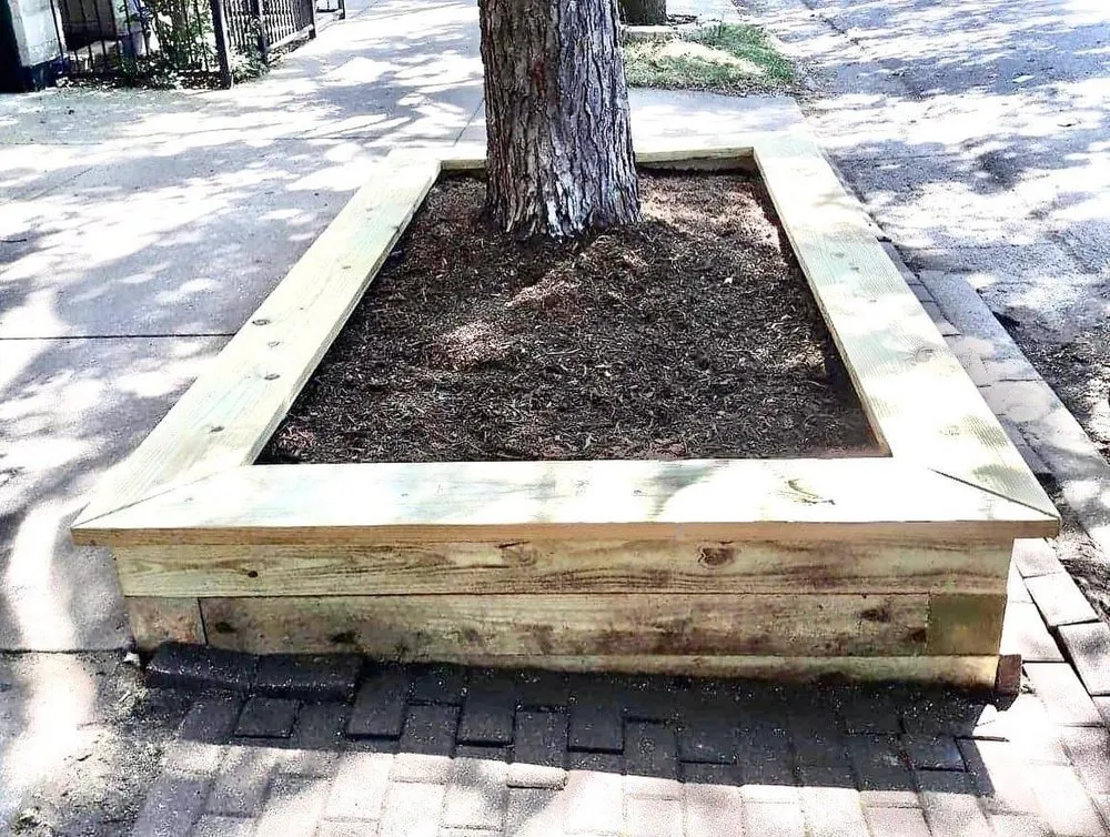 Expert yard cleanup service in Chicago, IL - NUCI