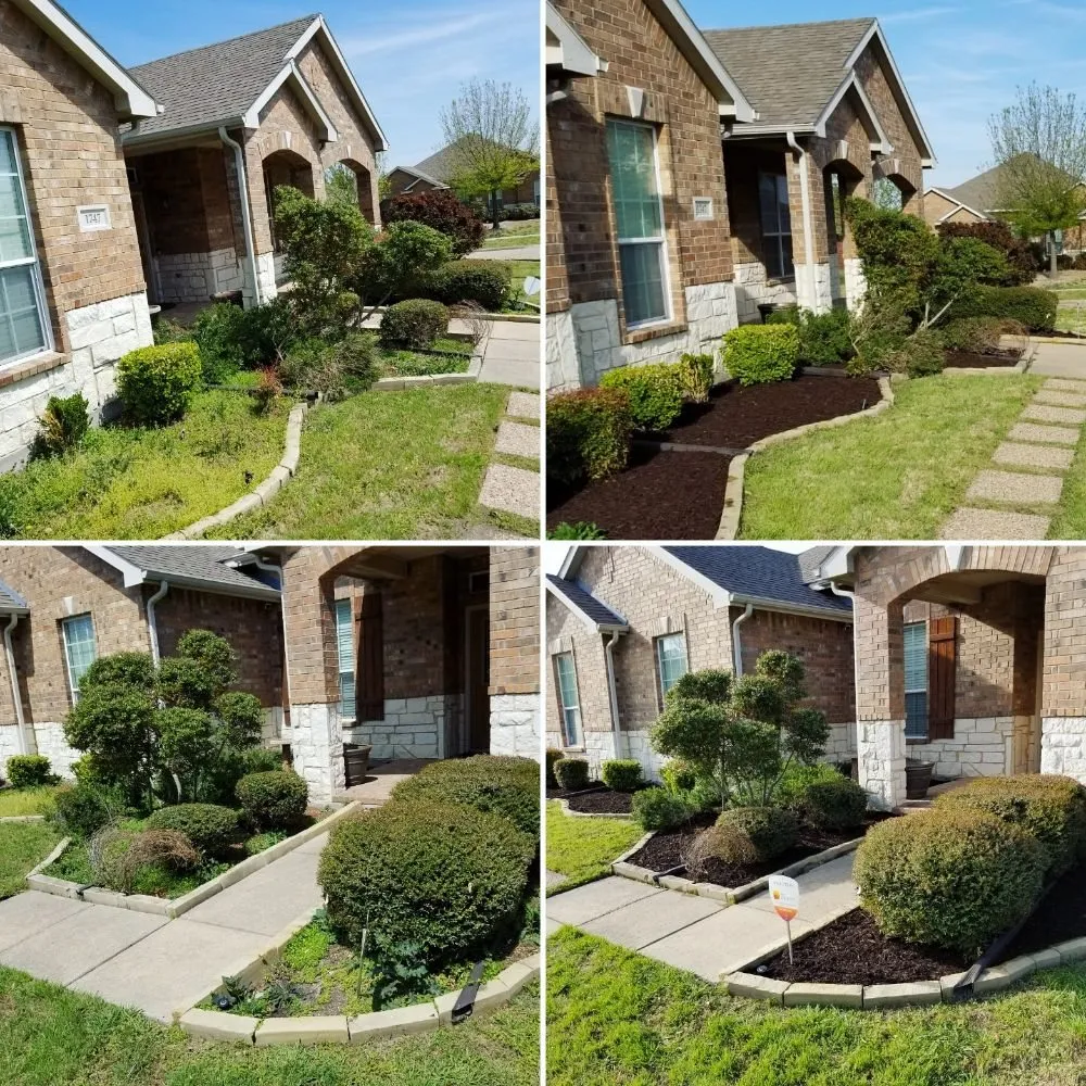 Expert yard cleanup service experts serving Cedar Hill, TX - NuEdge Lawns