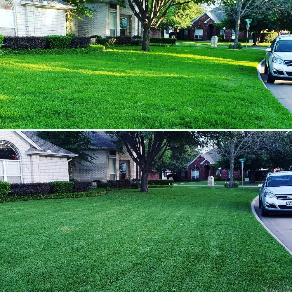 Local residential landscaping in Cedar Hill, TX by NuEdge Lawns