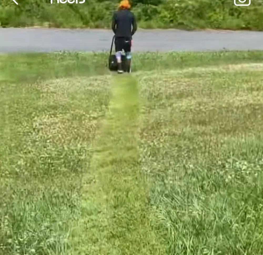 Expert landscaping services experts serving Dedham, MA - Nueria Lawn Care