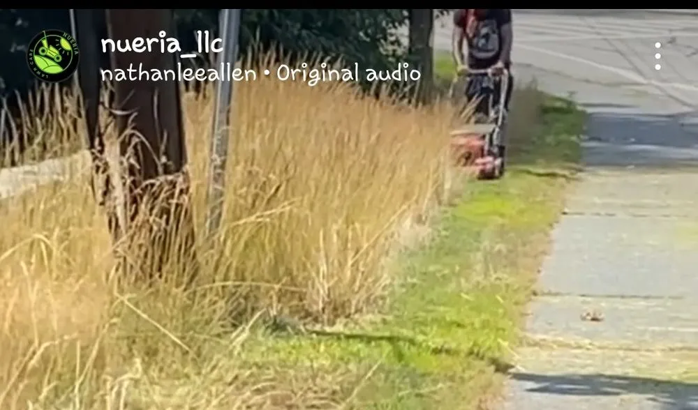 Reliable garden landscaping experts serving Dedham, MA - Nueria Lawn Care