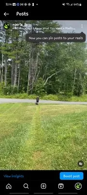 Nueria Lawn Care Logo