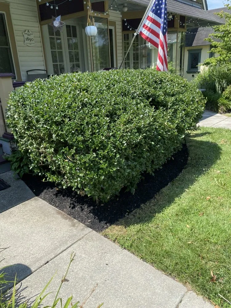 Custom landscaping services experts serving West Deptford, NJ - Nueva Era Landscaping