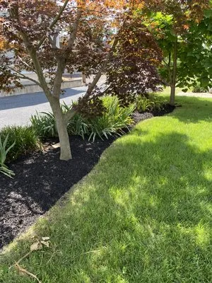 Nueva Era Landscaping