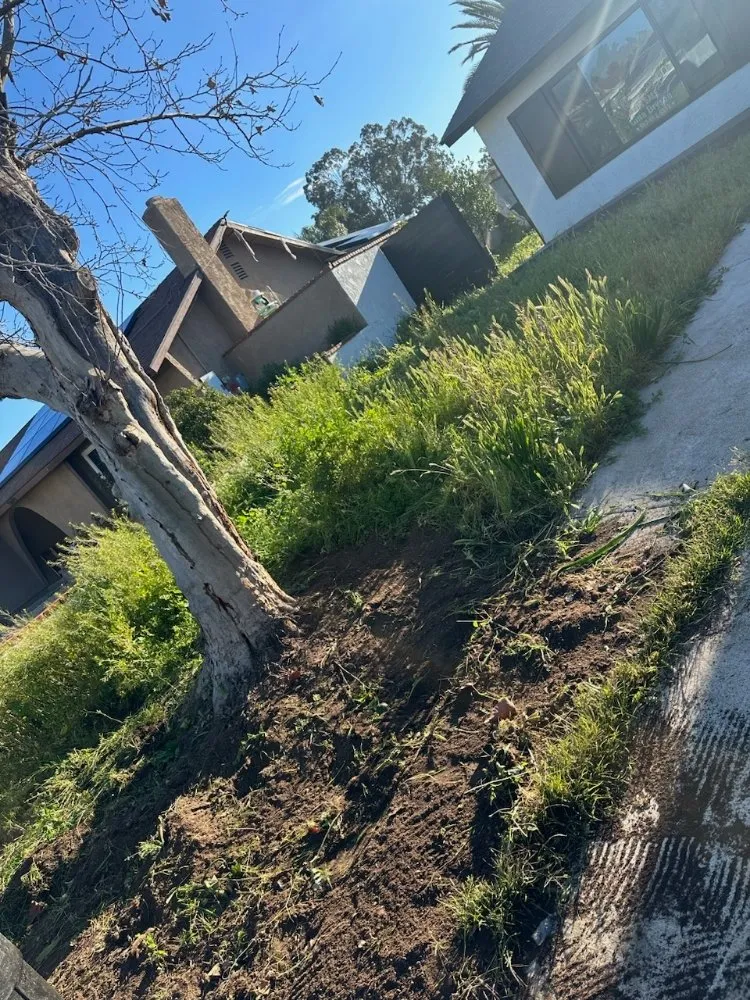 Expert yard maintenance near you in Fontana, CA by Nuevo Landscaping