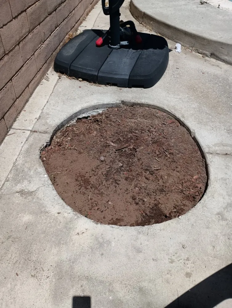 Expert lawn mowing service for homes across Fontana, CA - Nuevo Landscaping