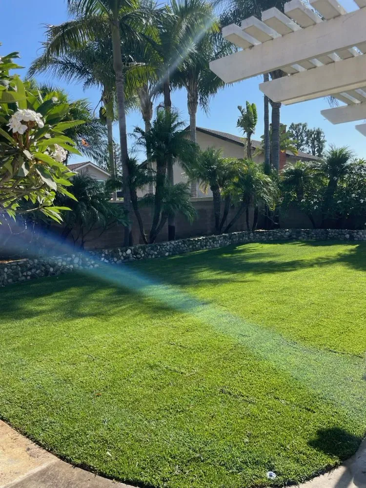 Custom landscape design with custom design in Newport Beach, CA by Nuevo Verde Landscaping
