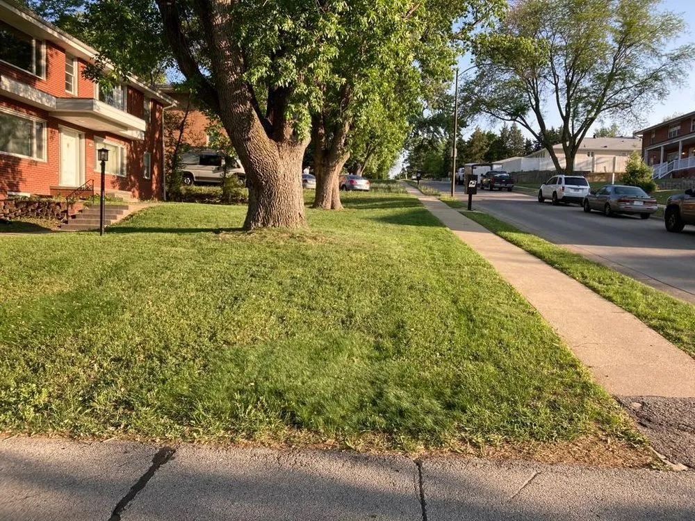 Reliable yard maintenance for year-round maintenance in Richmond, VA by Nuñez Landscaping