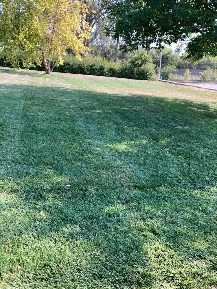 Reliable lawn care service in Richmond, VA - Nuñez Landscaping