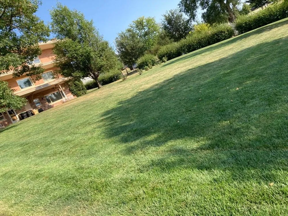 Professional landscaping services for beautiful yards across Richmond, VA - Nuñez Landscaping