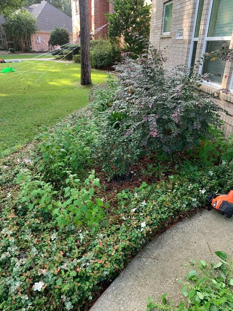 Trusted landscape installation in Richmond, VA by Nuñez Landscaping