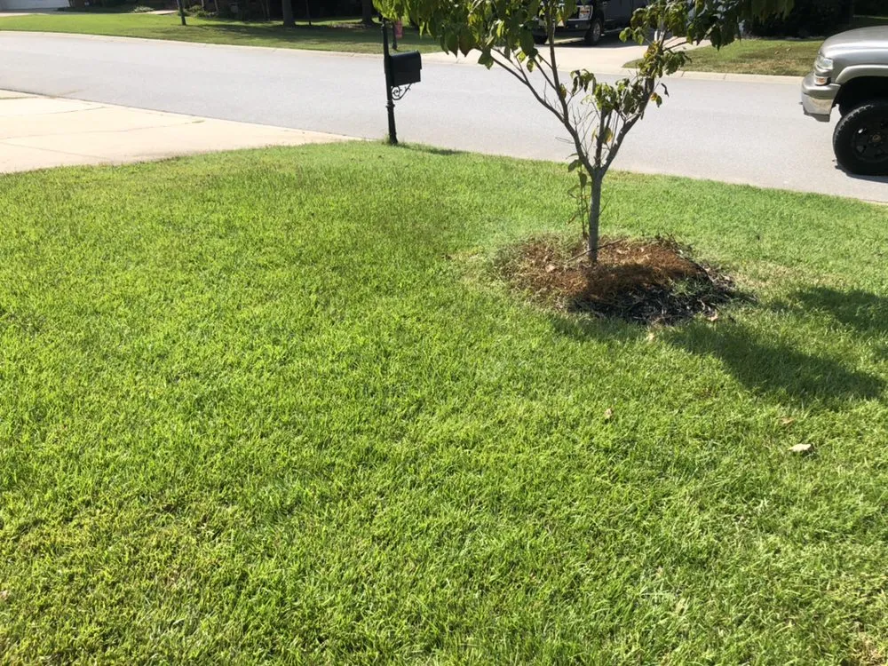 Top-rated landscape installation in Columbia, SC by Nuk's Landscaping
