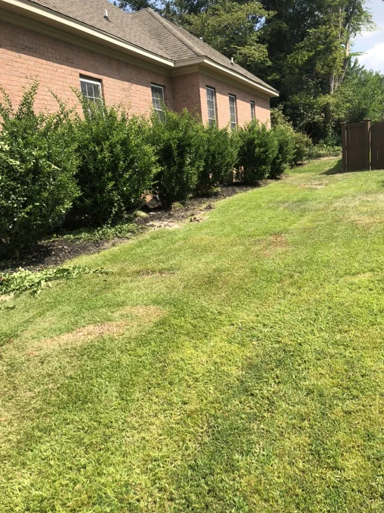 Affordable residential landscaping for outdoor upgrades in Columbia, SC by Nuk's Landscaping