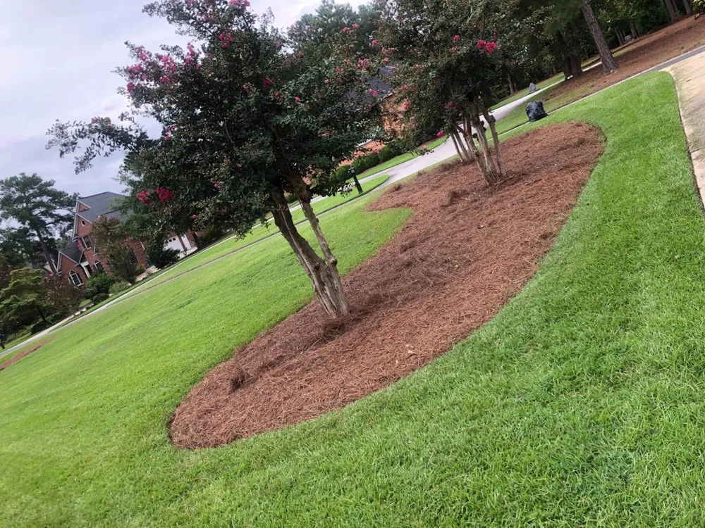 Trusted landscape installation for outdoor upgrades across Columbia, SC - Nuk's Landscaping