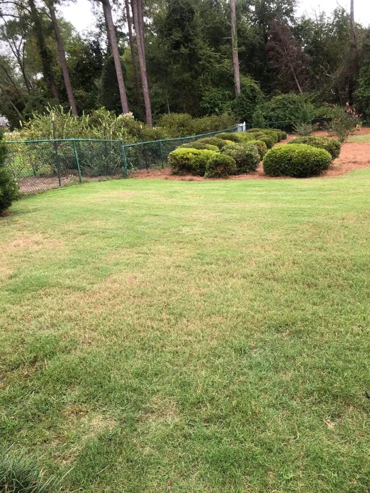 Custom outdoor landscaping experts serving Columbia, SC - Nuk's Landscaping