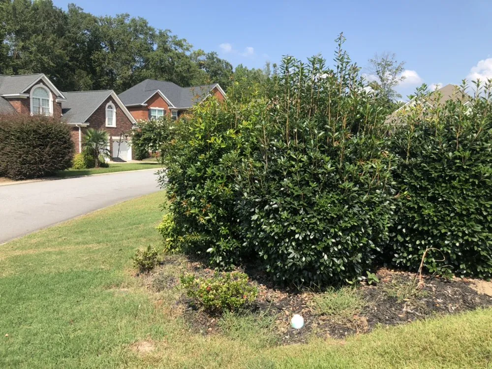 Professional yard maintenance near you in Columbia, SC by Nuk's Landscaping