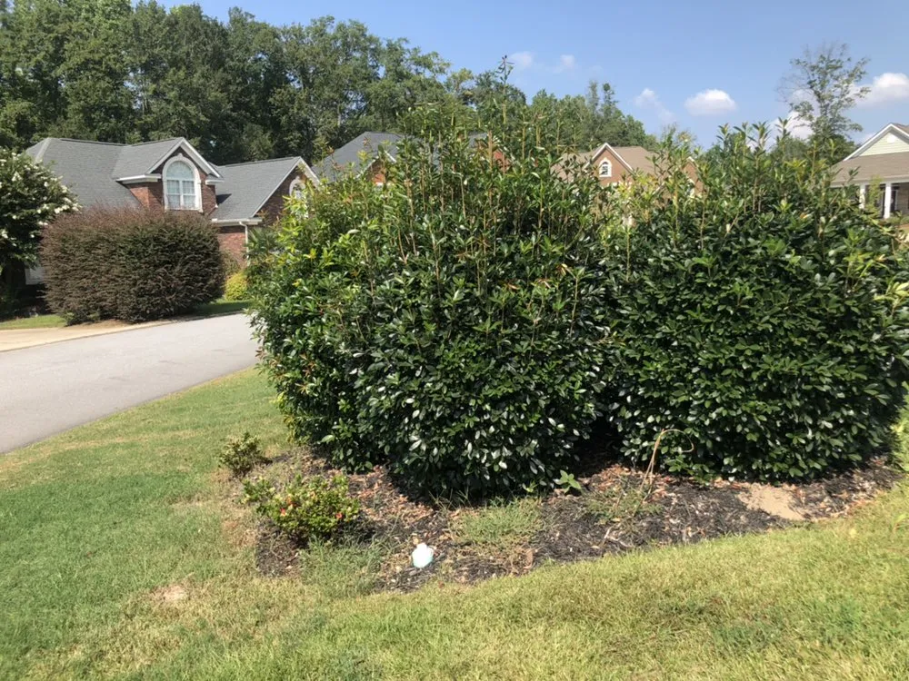 Affordable garden landscaping for beautiful yards in Columbia, SC by Nuk's Landscaping