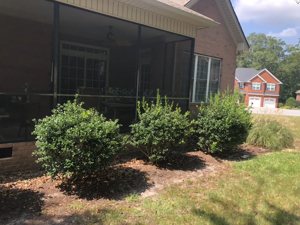 Top-rated landscape installation for outdoor upgrades in Columbia, SC by Nuk's Landscaping