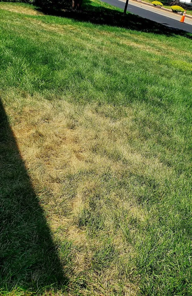 Trusted outdoor landscaping for beautiful yards in Lorton, VA by NuLeaf, Naturally Better Lawn Care