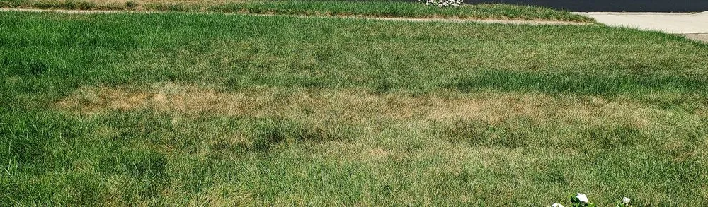 Local garden landscaping for beautiful yards across Lorton, VA - NuLeaf, Naturally Better Lawn Care