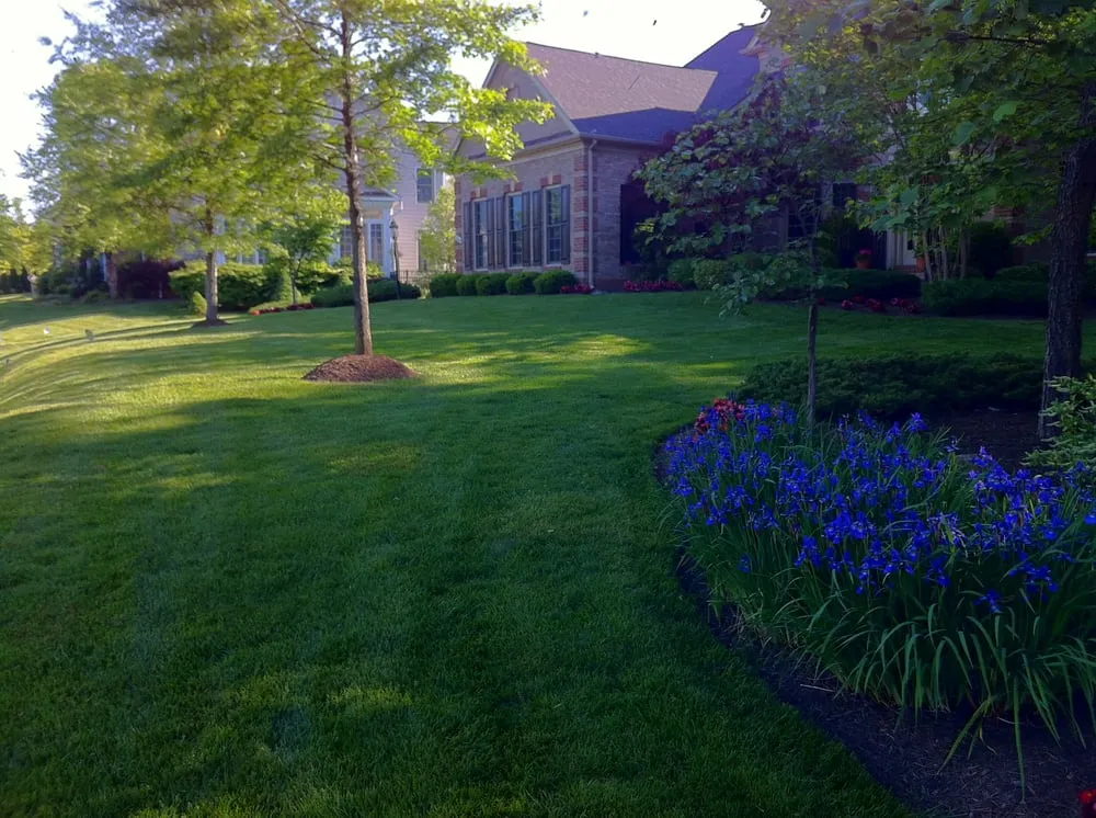 Local outdoor landscaping in Lorton, VA - NuLeaf, Naturally Better Lawn Care