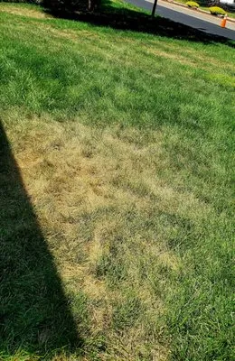 NuLeaf, Naturally Better Lawn Care Logo