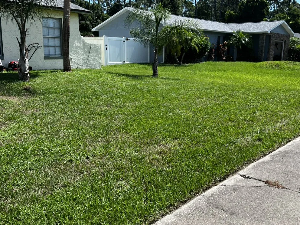 Expert garden landscaping in Port Orange, FL - Number One Lawn Care