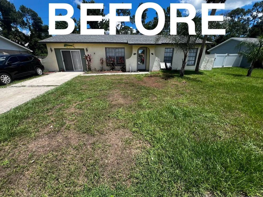 Professional lawn mowing service in Port Orange, FL - Number One Lawn Care