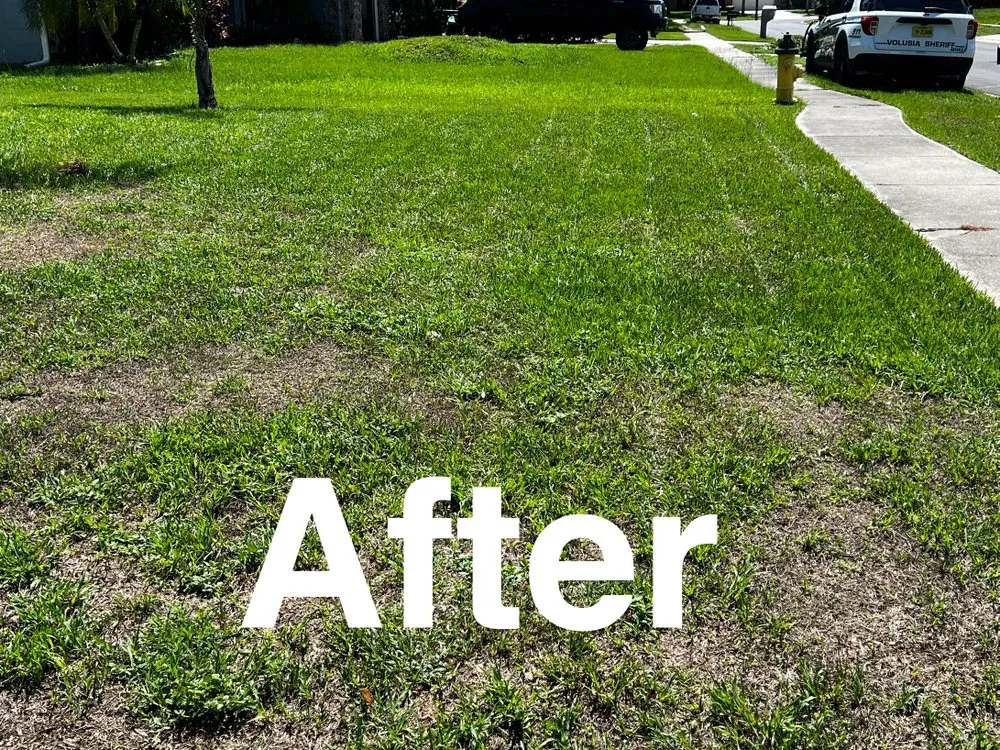 Affordable landscape design for year-round maintenance in Port Orange, FL by Number One Lawn Care