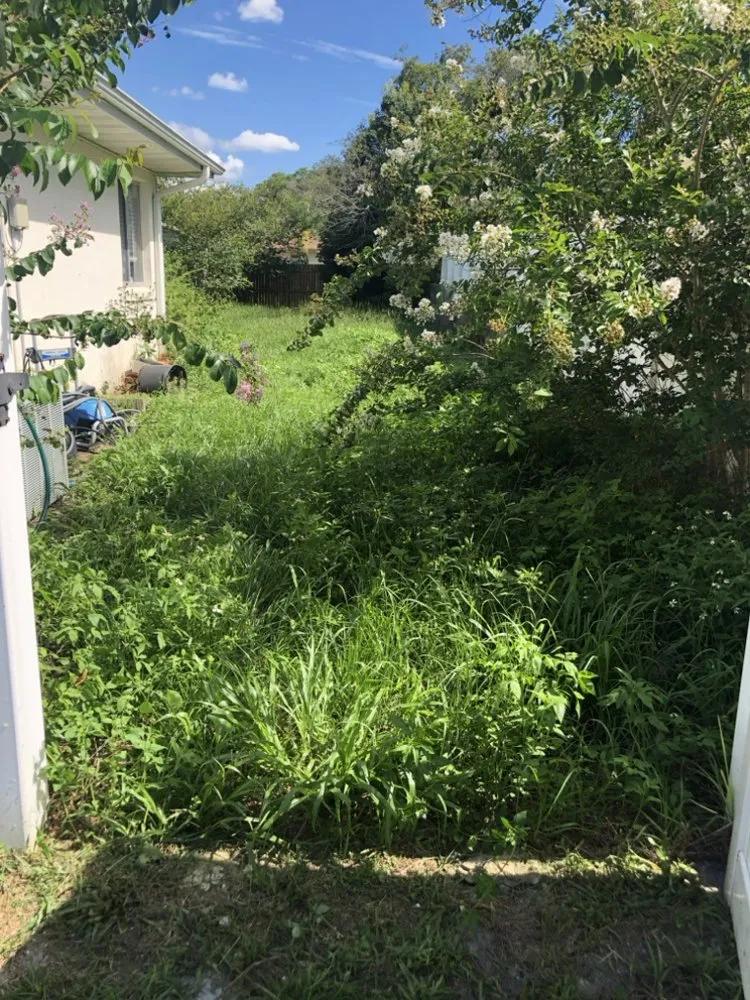 Local yard maintenance for outdoor upgrades in Port Orange, FL by Number One Lawn Care