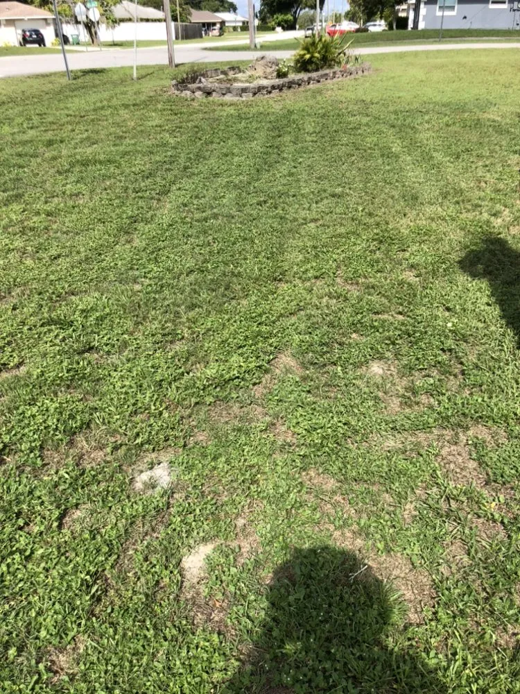 Top-rated yard maintenance experts serving Port Orange, FL - Number One Lawn Care