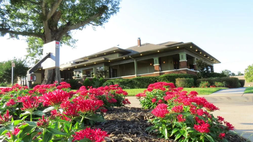 Affordable lawn care service in Beaumont, TX by Number One Lawn Service