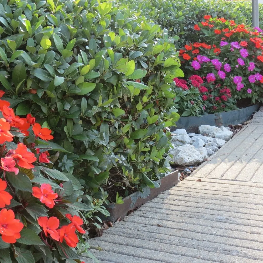 Affordable garden landscaping for outdoor upgrades across Beaumont, TX - Number One Lawn Service