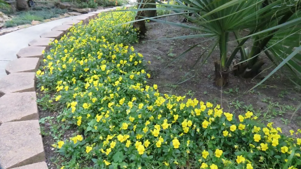 Trusted garden landscaping for residential properties in Beaumont, TX by Number One Lawn Service