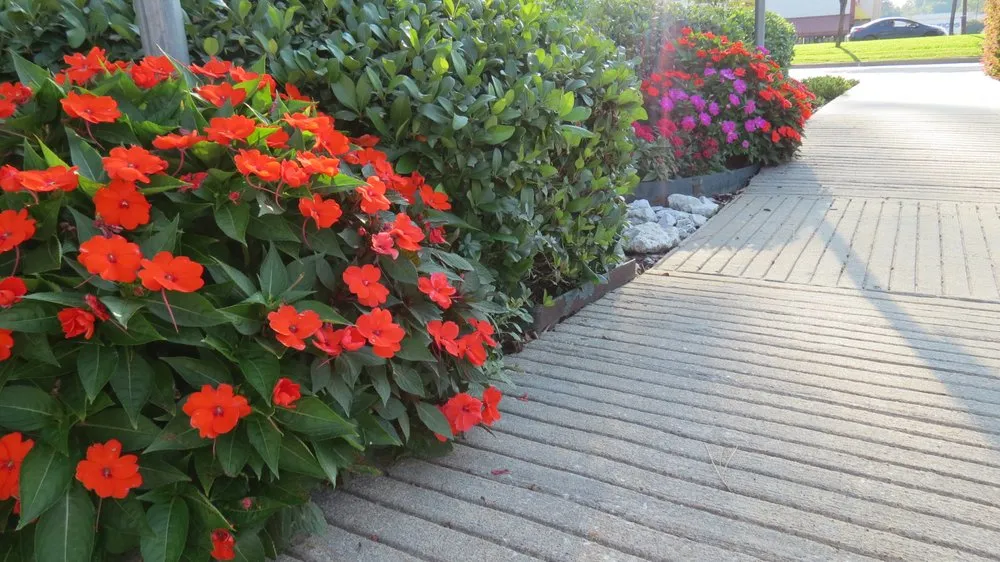 Expert lawn care service for outdoor upgrades across Beaumont, TX - Number One Lawn Service