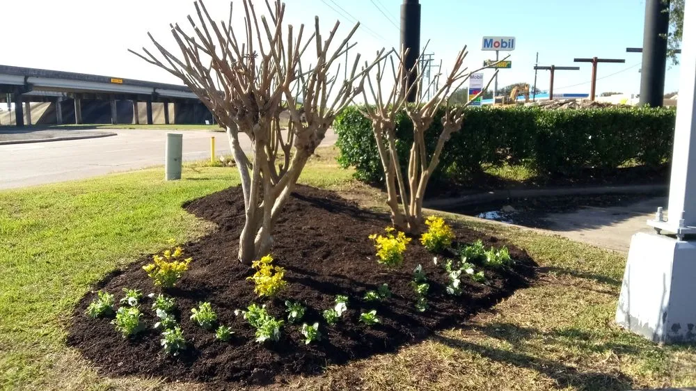 Trusted yard cleanup service for beautiful yards in Beaumont, TX by Number One Lawn Service