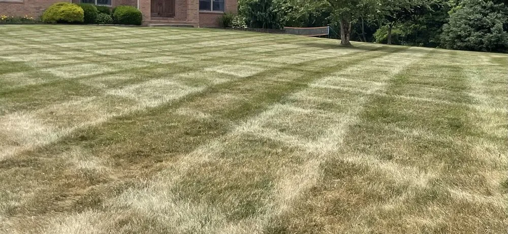 Top-rated lawn care service experts serving Shreve, OH - Number One Stripe