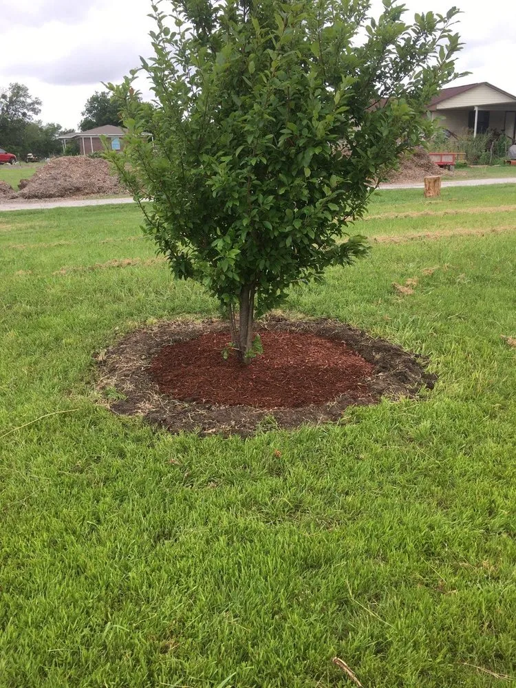 Reliable garden landscaping for residential properties across Sanger, TX - Number1Chameleon